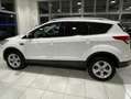 Ford Kuga Kuga II 2013 2.0 tdci Titanium 2wd s Bianco - thumbnail 3