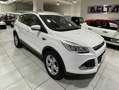 Ford Kuga Kuga II 2013 2.0 tdci Titanium 2wd s Bianco - thumbnail 11