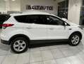 Ford Kuga Kuga II 2013 2.0 tdci Titanium 2wd s Bianco - thumbnail 7