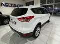 Ford Kuga Kuga II 2013 2.0 tdci Titanium 2wd s Bianco - thumbnail 6