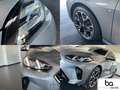 BMW 118 118d M Sportpaket Pano/DrivPl/Park/AAC/DAB Grau - thumbnail 17