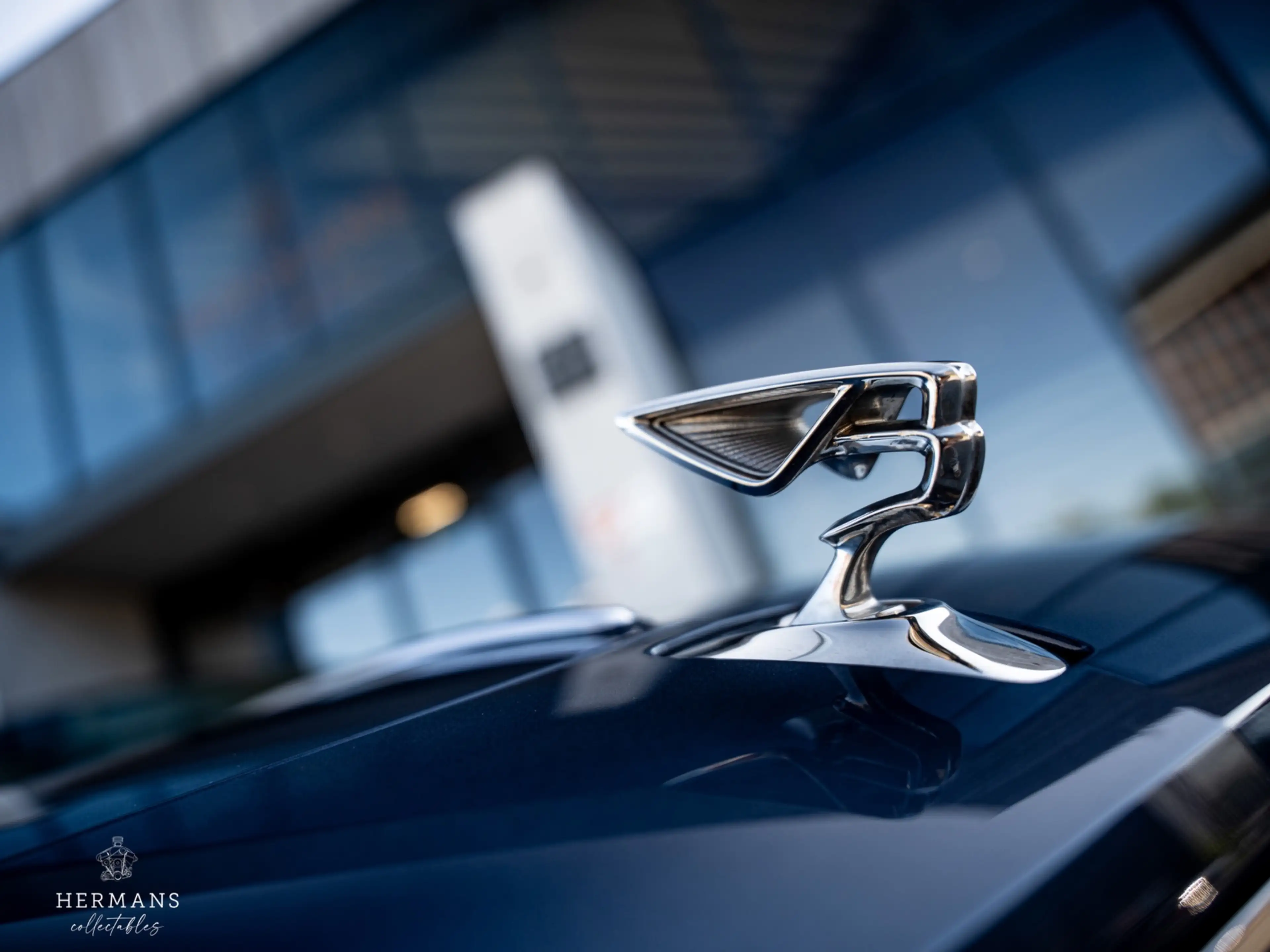 Bentley Flying Spur 6.0 W12 First Edition / NAIM / Rotating / HUD / Dy — photo 3