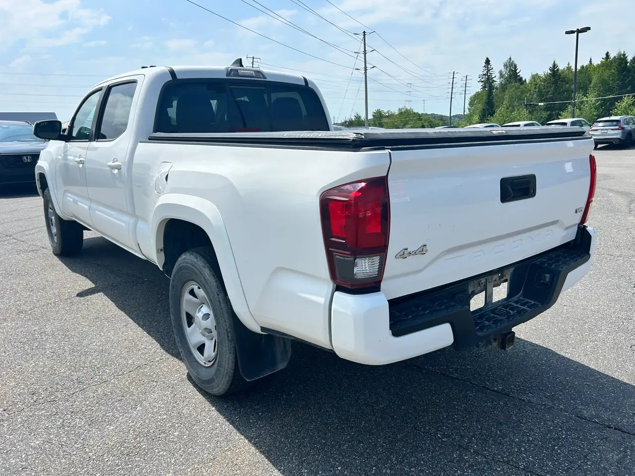 Toyota Tacoma fotografie Toyota Tacoma