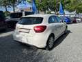 Mercedes-Benz A 180 CDI BE Business PDC Aut. Tempo Navi Sitzh. Weiß - thumbnail 5