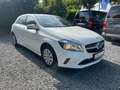 Mercedes-Benz A 180 CDI BE Business PDC Aut. Tempo Navi Sitzh. Weiß - thumbnail 3