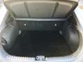 Kia XCeed /SILBER/1.5/TGDI/48V/DCT7/160 Weiß - thumbnail 13