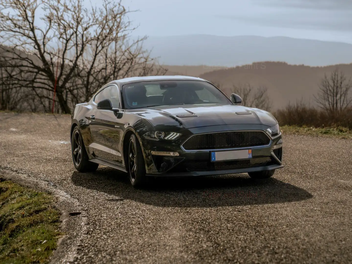 Ford Mustang Fastback V8 5.0 Bullitt Vert - 2