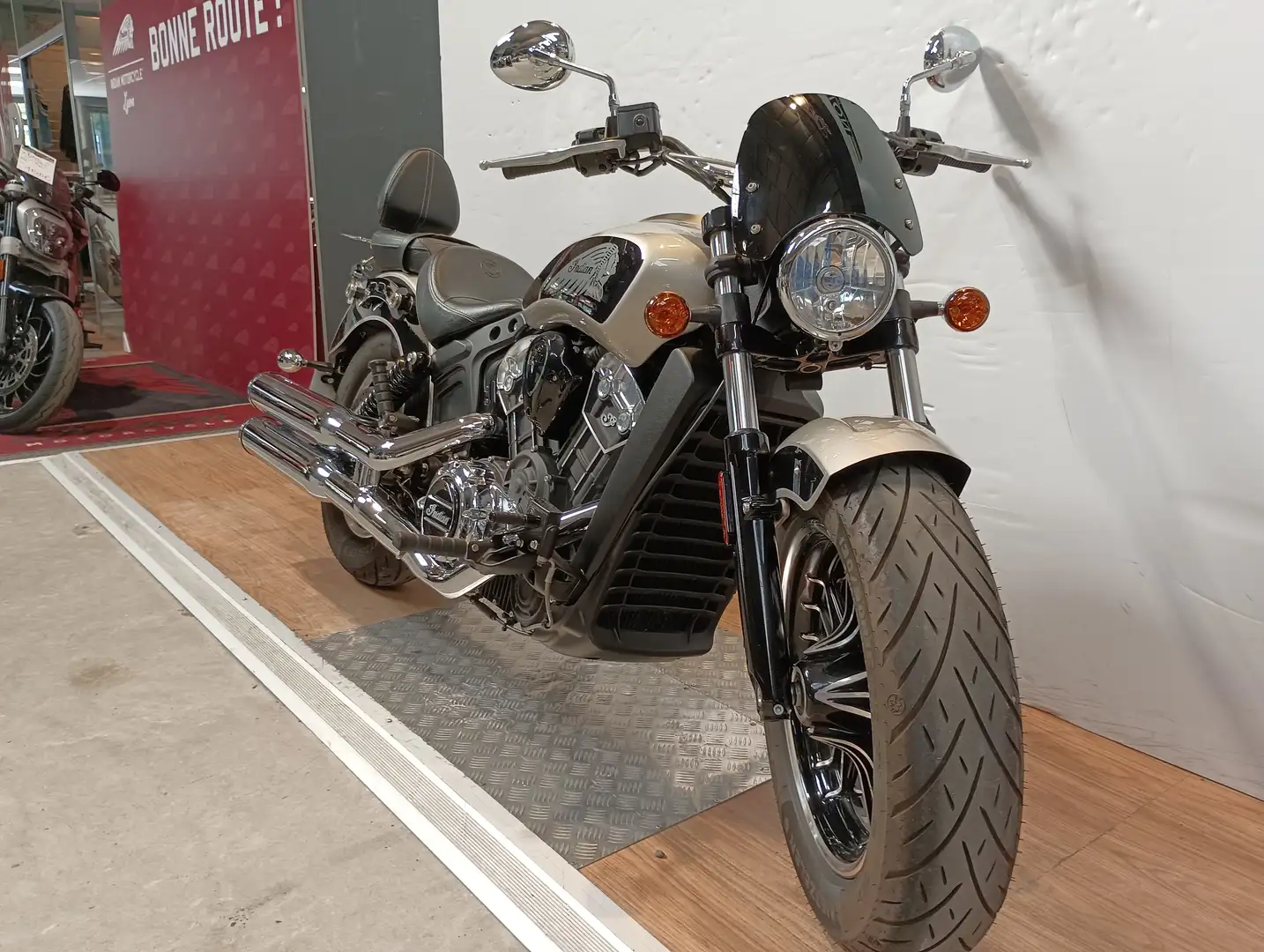 Indian Scout Gris - 2