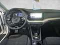 Skoda Octavia Combi Style 2.0 TDI DSG AHK/NAVI/HEAD-UP Weiß - thumbnail 24