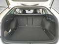Skoda Octavia Combi Style 2.0 TDI DSG AHK/NAVI/HEAD-UP Weiß - thumbnail 15