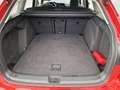 Volkswagen Golf Variant 1.5 TSI OPF Life Rot - thumbnail 13