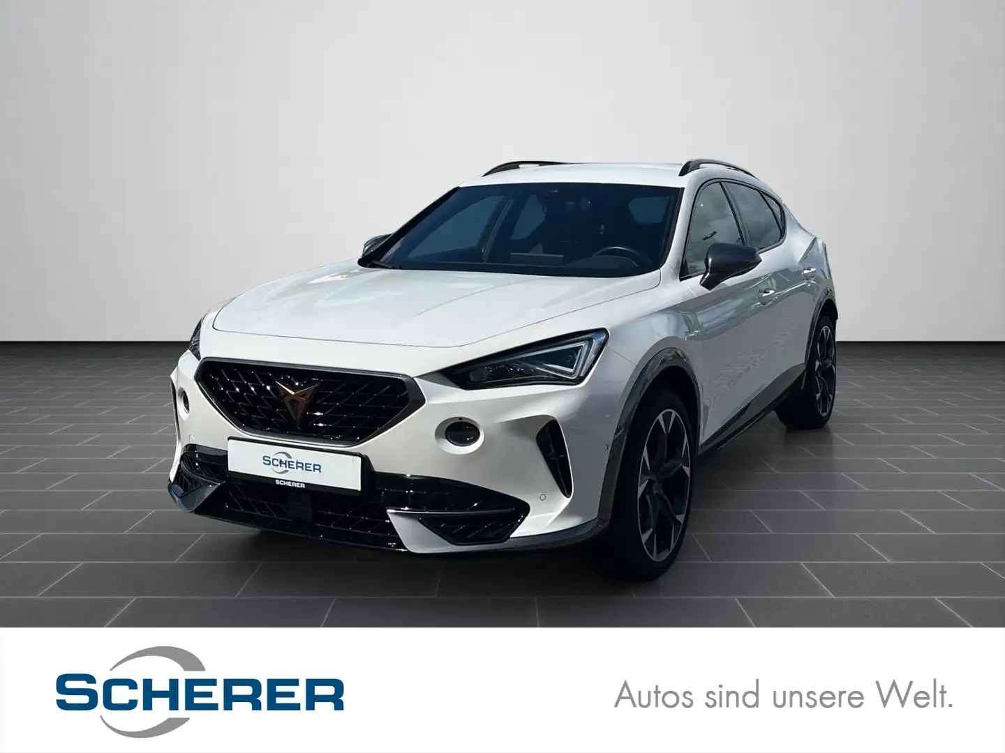 CUPRA Formentor 2.0 TSI VZ DSG RFK, Kessy, DCC, ACC Weiß - 1