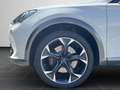 CUPRA Formentor 2.0 TSI VZ DSG RFK, Kessy, DCC, ACC Weiß - thumbnail 8