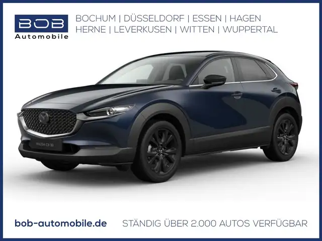 Mazda CX-30 5WGN 2.0L e-SKYACTIV X 6AT FWD Homura NAVI