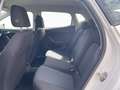 SEAT Ibiza 1.0TSI Style Klima LED Sitzheizung PDC RFK Weiß - thumbnail 14