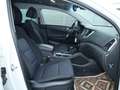 Hyundai TUCSON 1.6 Premium 4WD 130kW 176PS Weiß - thumbnail 11