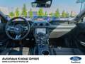 Ford Mustang MACH 1 5,0l V8 Automatik Schwarz - thumbnail 15
