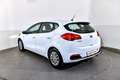 Kia Ceed / cee'd 1.4 CVVT Attract plus Weiß - thumbnail 7