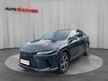 Lexus RX 450h Business Line Plug-In Hybrid 309 PS Allrad Grau - thumbnail 1