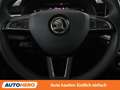 Skoda Scala 1.5 TSI ACT Style Blau - thumbnail 19