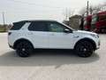Land Rover Discovery Sport 2.0 td4 HSE Luxury awd 180cv auto Bianco - thumbnail 9