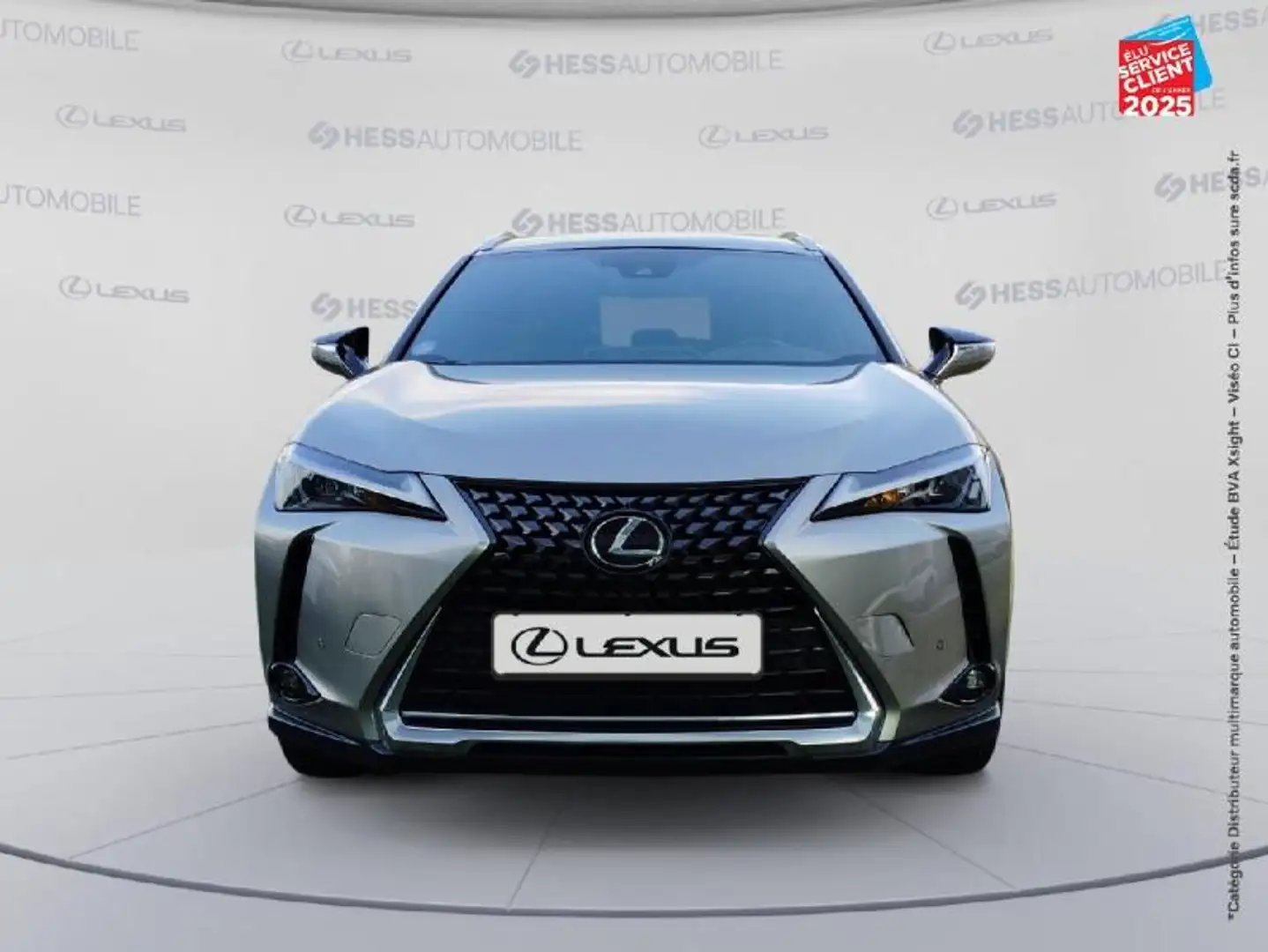 Lexus UX 250h 250h Luxe 2WD Gris - 2