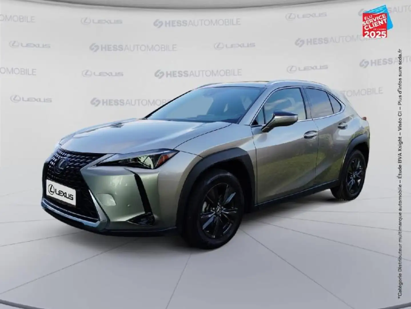Lexus UX 250h 250h Luxe 2WD Gris - 1