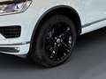 Volkswagen Touareg V6 TDI + Blanc - thumbnail 5
