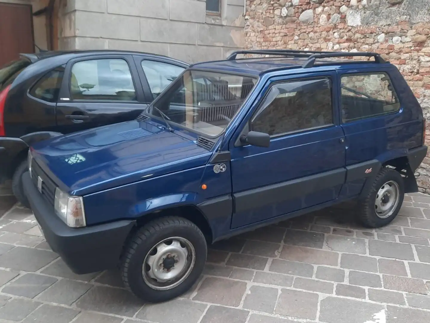 Fiat Panda 1.0 4x4 Bleu - 2