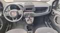 Fiat Panda 1.0 70cv Hybrid Panda - thumbnail 7