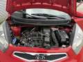 Kia Picanto 1.0 CVVT ISG R-Cross n*1/500|Airco|Navi|LM Velgen Rojo - thumbnail 20