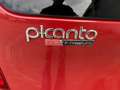 Kia Picanto 1.0 CVVT ISG R-Cross n*1/500|Airco|Navi|LM Velgen Rojo - thumbnail 24