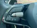 Skoda Octavia Combi 2.0 TDI DSG First Edition *AHK*PDC* Blauw - thumbnail 24