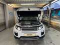 Land Rover Range Rover Evoque Pure Weiß - thumbnail 17