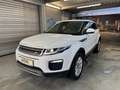 Land Rover Range Rover Evoque Pure Weiß - thumbnail 3