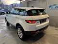 Land Rover Range Rover Evoque Pure Weiß - thumbnail 10