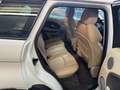 Land Rover Range Rover Evoque Pure Weiß - thumbnail 6