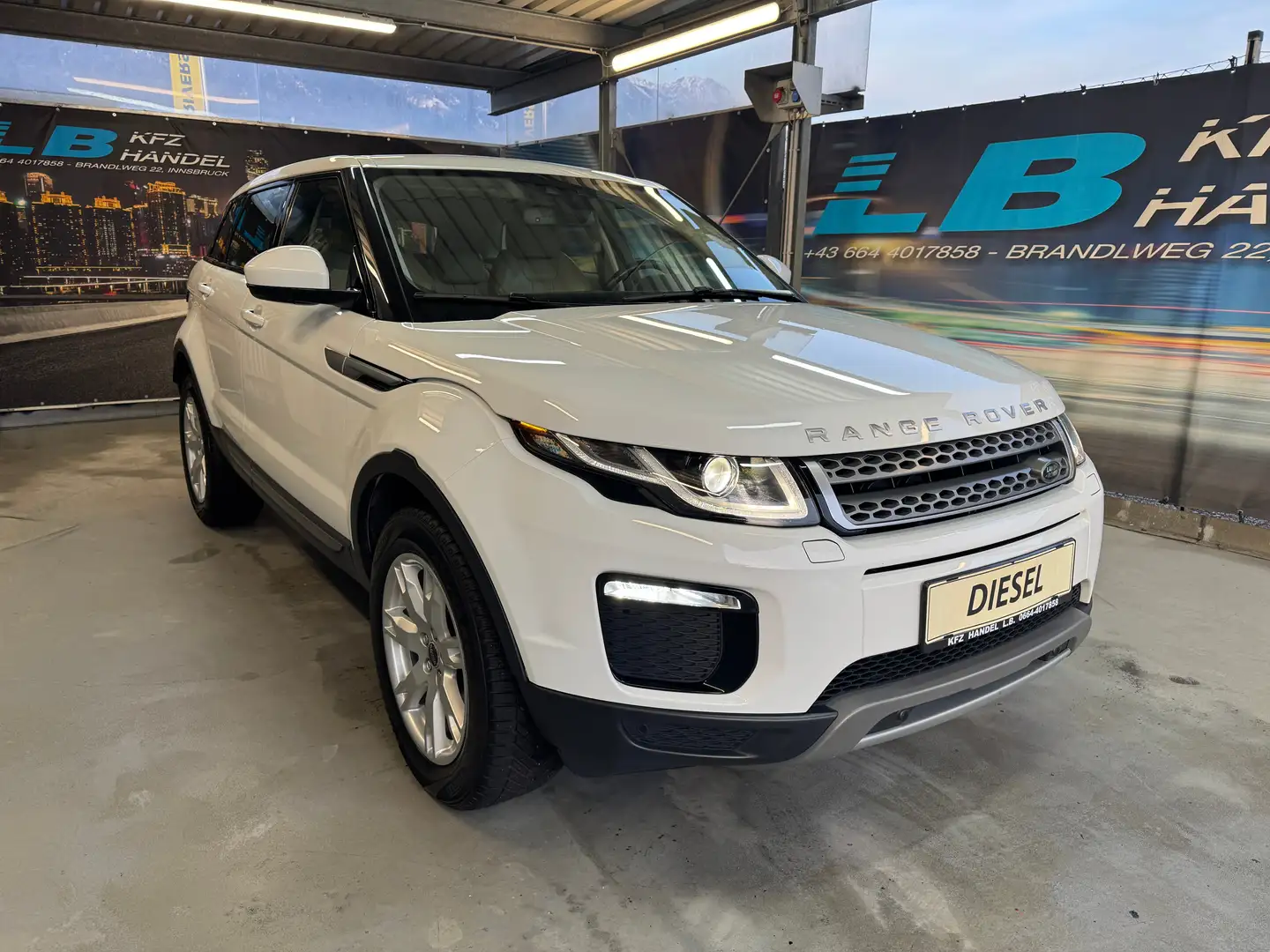 Land Rover Range Rover Evoque Pure Weiß - 1