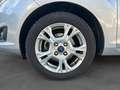 Ford Fiesta Fiesta 1.0 EcoBoost 100 S\u0026amp;S Edition Gris - thumbnail 14