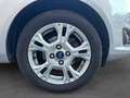 Ford Fiesta Fiesta 1.0 EcoBoost 100 S\u0026amp;S Edition Gris - thumbnail 15