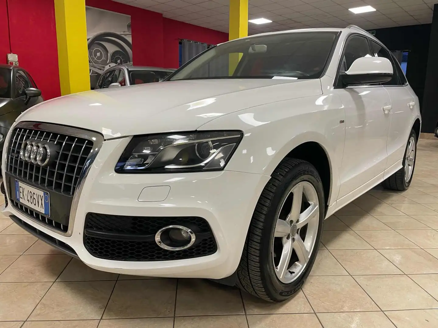 Audi Q5 2.0 TDI 170 CV quattro S tronic * S-LINE/XENO/LED* Bianco - 1