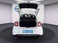 smart forFour forfour Passion*SHZ*KLIMA*PDC*TEMPOMAT* Weiß - thumbnail 23