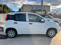 Fiat New Panda 1.3 M-Jet Bianco - thumbnail 6
