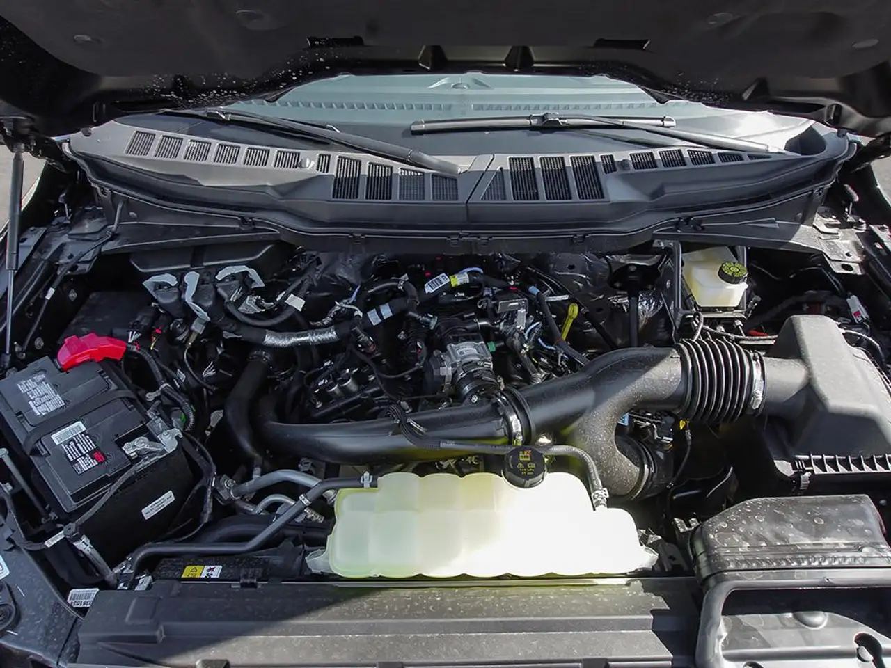 Ford F 150 fotografie Ford F 150