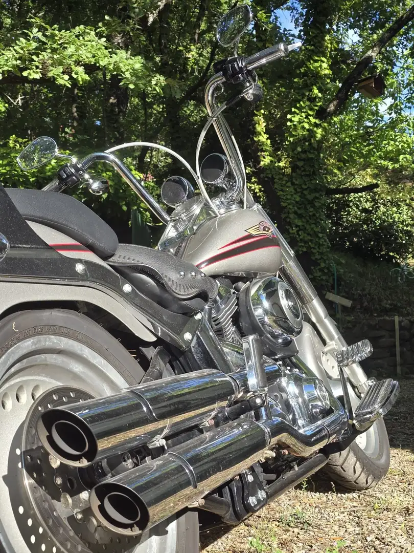 Harley-Davidson Fat Boy FLSTF Argento - 2
