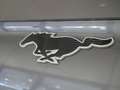 Ford Mustang Mach-E Premium RWD Rango extendido Negro - thumbnail 22