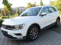 Volkswagen Tiguan 2.0 TDI SCR (BlueMotion Technology) Comfortline Weiß - thumbnail 10