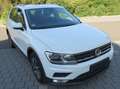 Volkswagen Tiguan 2.0 TDI SCR (BlueMotion Technology) Comfortline Weiß - thumbnail 13