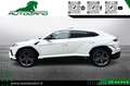 Lamborghini Urus 4.0 S Iva esposta Bianco - thumbnail 3