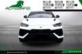Lamborghini Urus 4.0 S Iva esposta Bianco - thumbnail 2